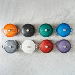 Baccarat Le Connoisseur Round French Oven With Lid Grey 29cm 6.3L -Deals Baccarat Store house lecon on location photoshoot5